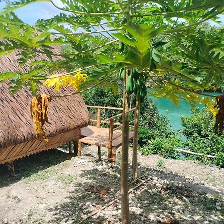 Riu Del Mar Hostel Dauis Ngoại thất bức ảnh