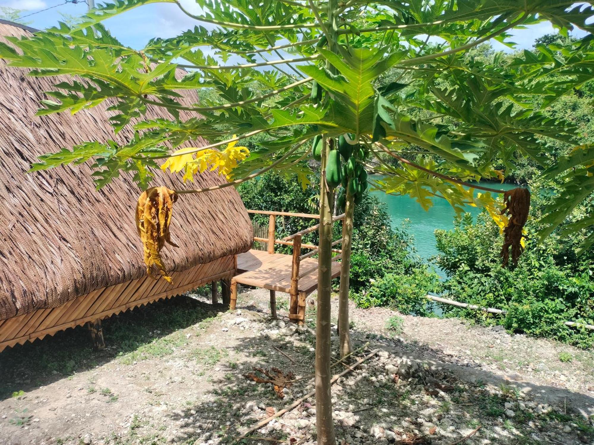 Riu Del Mar Hostel Dauis Ngoại thất bức ảnh